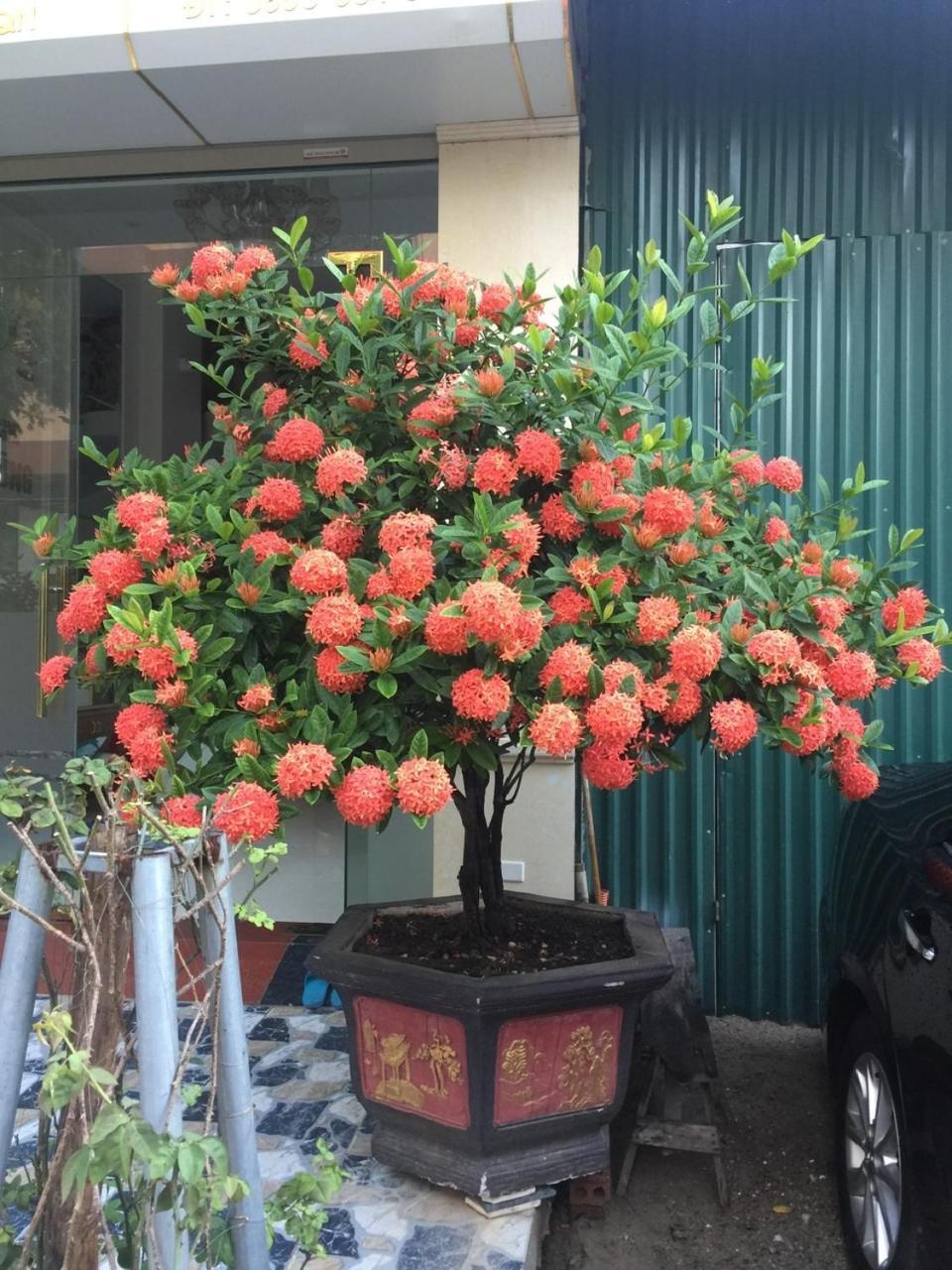 Nha Nghi Anh Dung Bed & Breakfast Ha Long Dış mekan fotoğraf