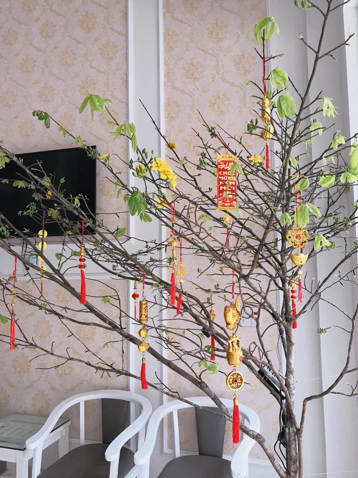 Nha Nghi Anh Dung Bed & Breakfast Ha Long Dış mekan fotoğraf